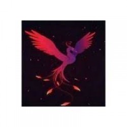Mouse Pad Concord Renklı Karışık Mouse Pad (250Mmx290Mm)