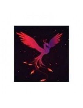 Mouse Pad Concord Renklı Karışık Mouse Pad (250Mmx290Mm)