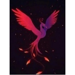 Mouse Pad Concord Renklı Karışık Mouse Pad (250Mmx290Mm)